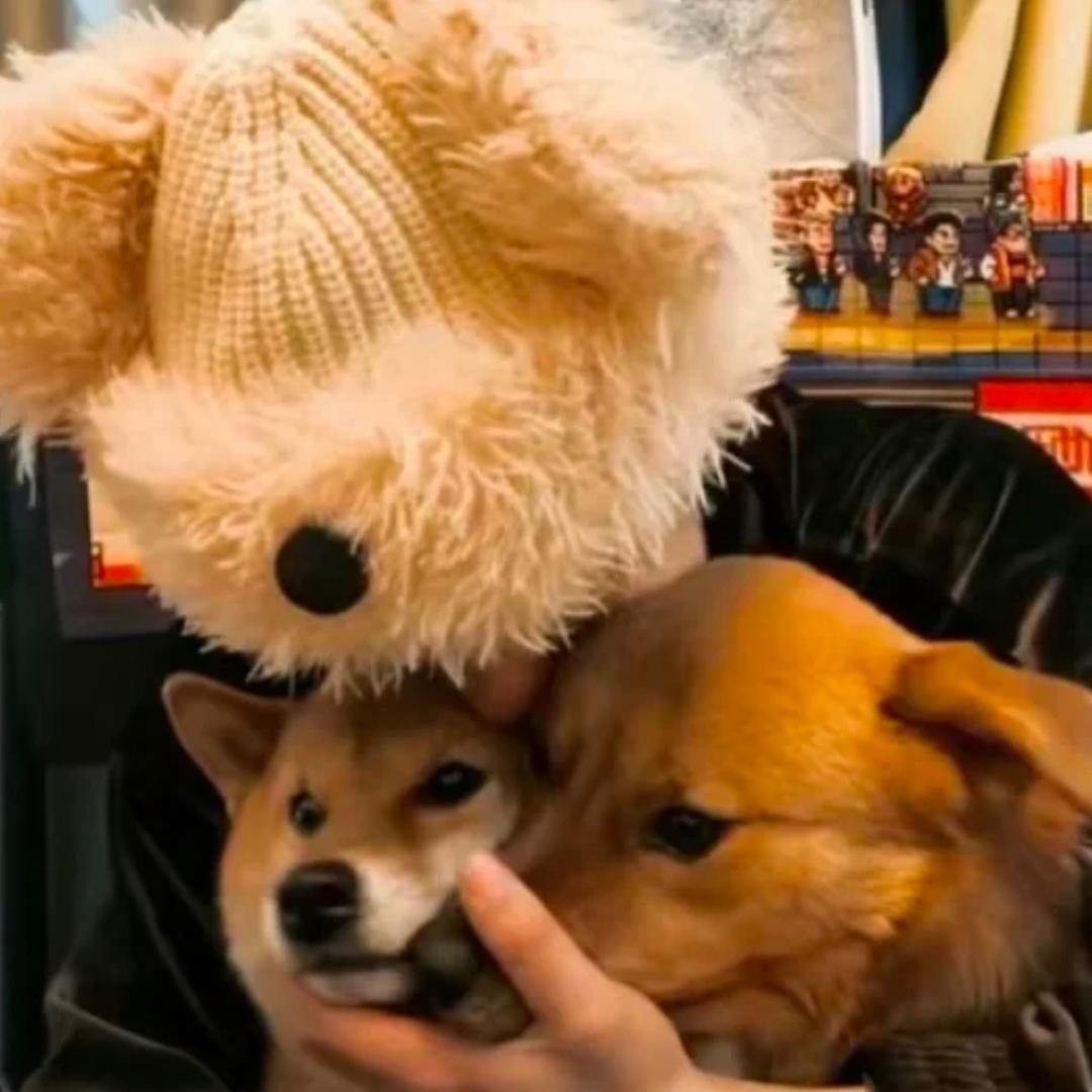 等一个晴天☀️