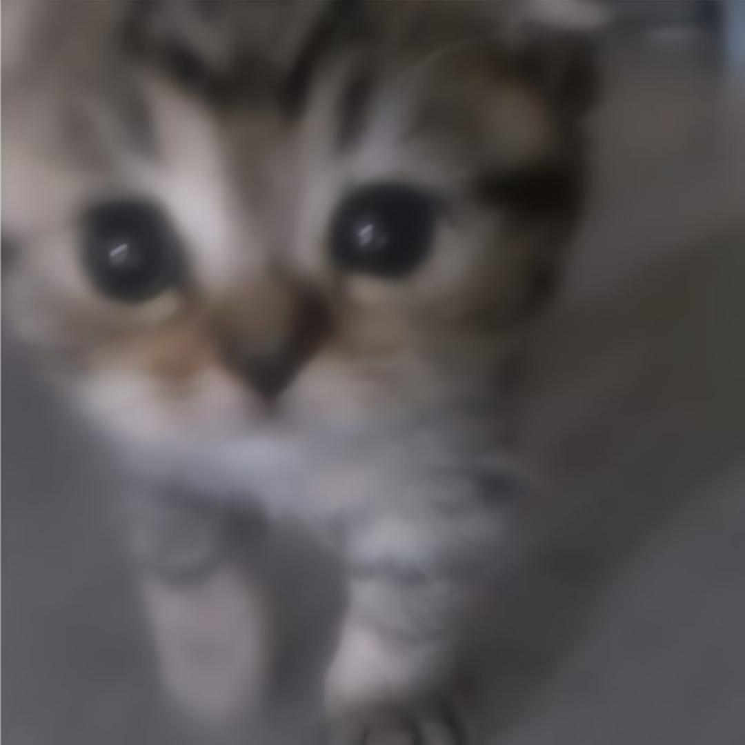叁叁.
