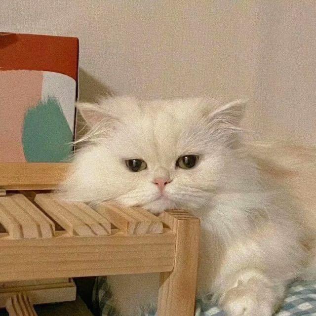 梓浩🌚