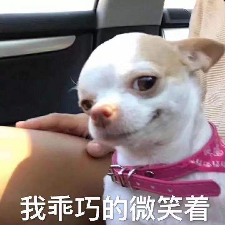 周周周标致雪铁龙特斯拉威马小鹏哪吒配件