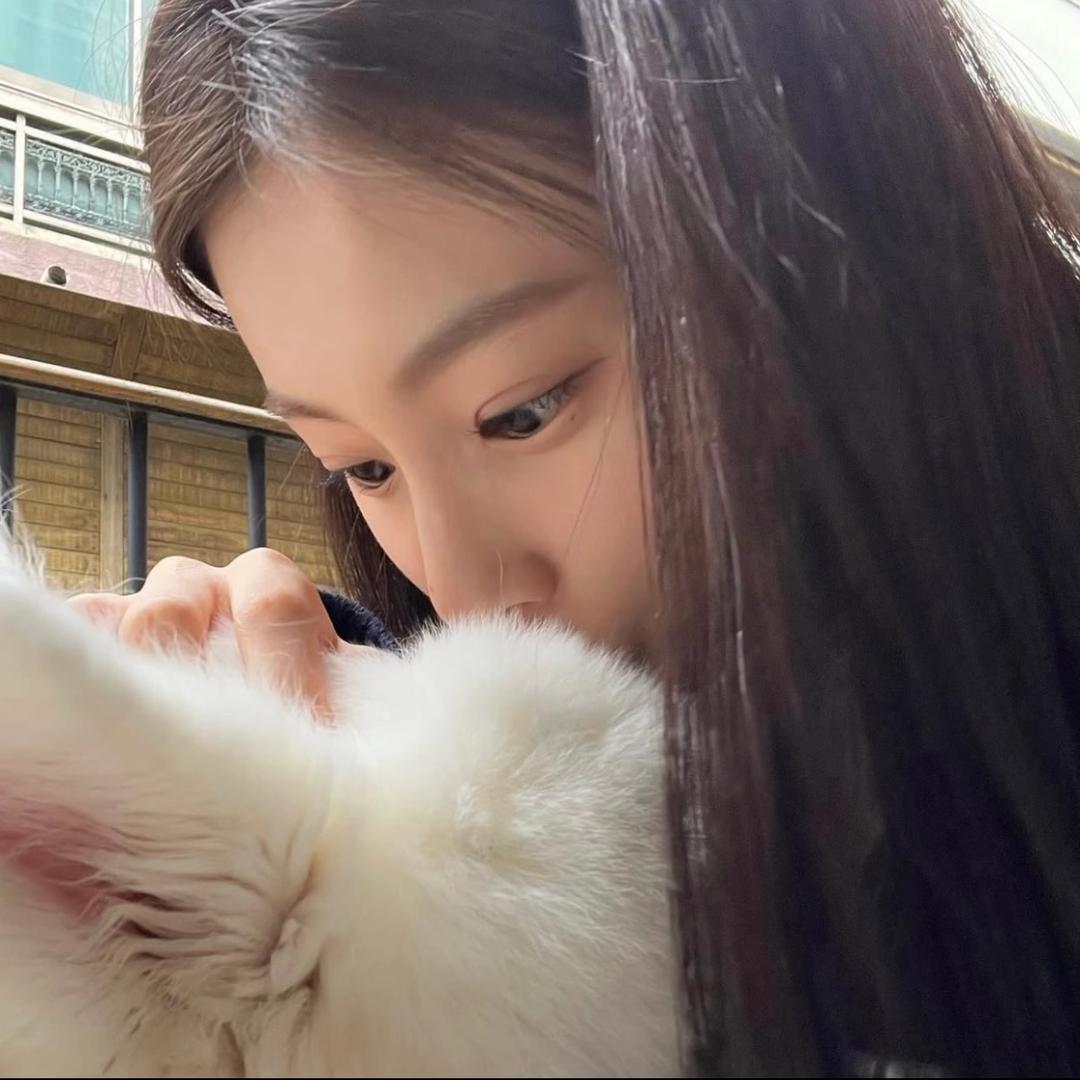 综上所述你是笨蛋