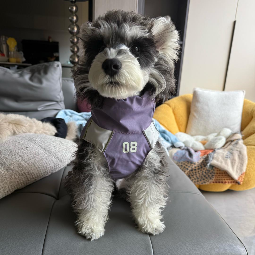 ௸྄ིོུ高高คิดถ