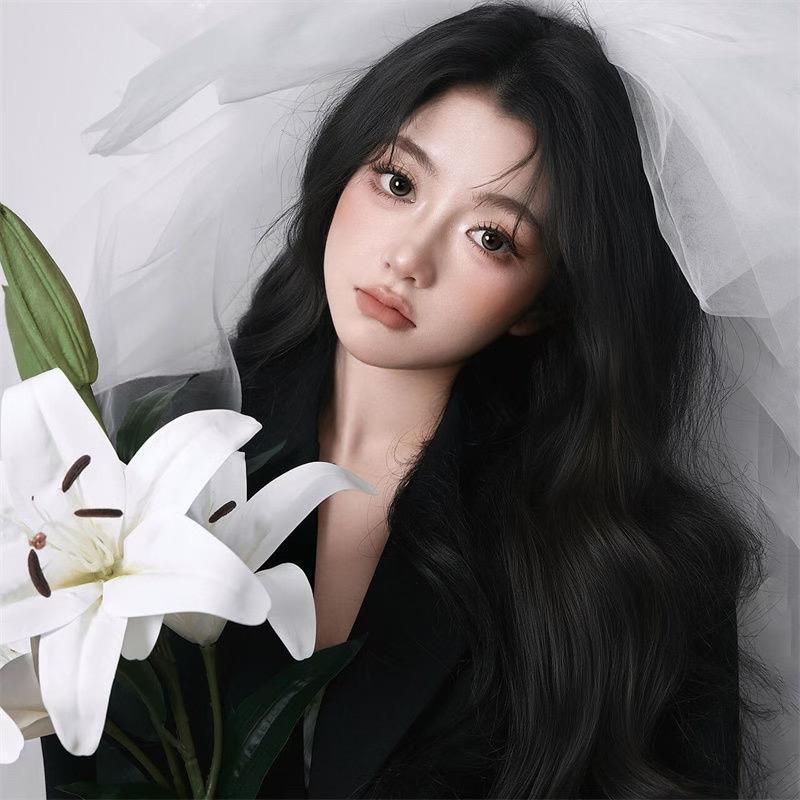 给菲菲小姐开车的🐈‍⬛