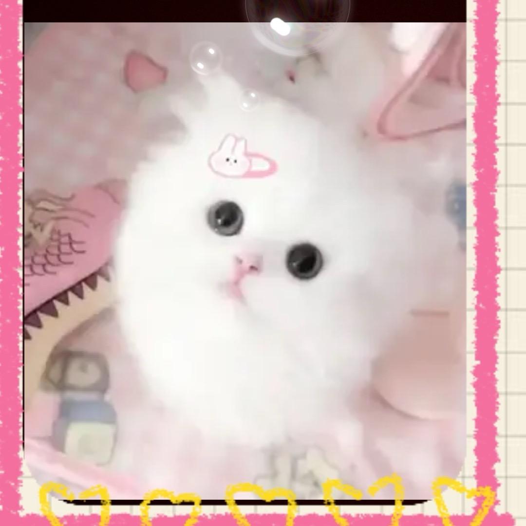 苏暖暖⭐️