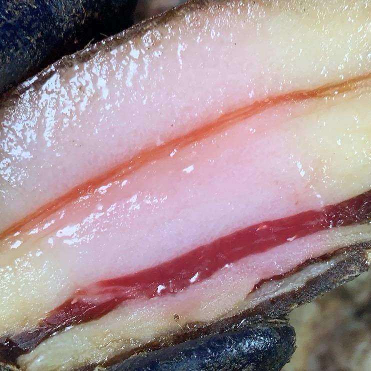 恩施农道夫腊味