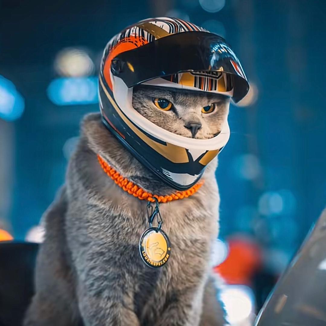 优念日用百货经营部