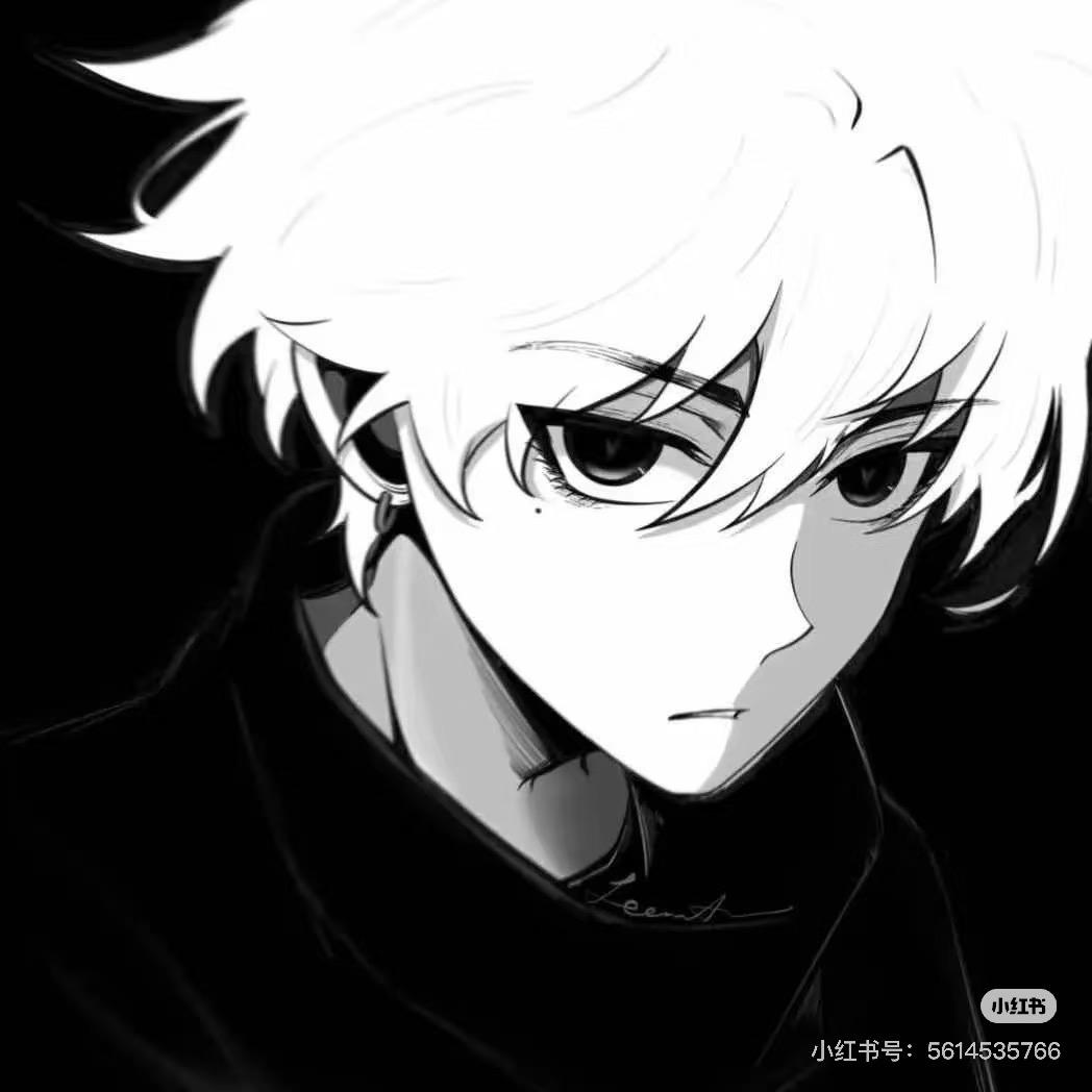 宝哥很努力（穿搭版）