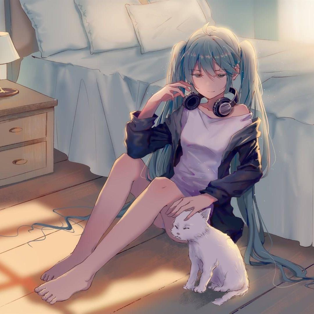 狸