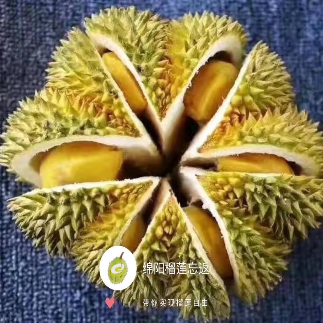 绵阳榴莲忘返