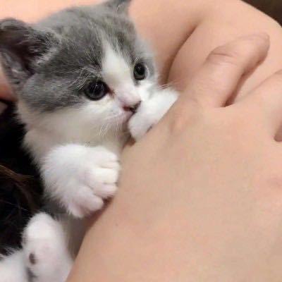 秋水