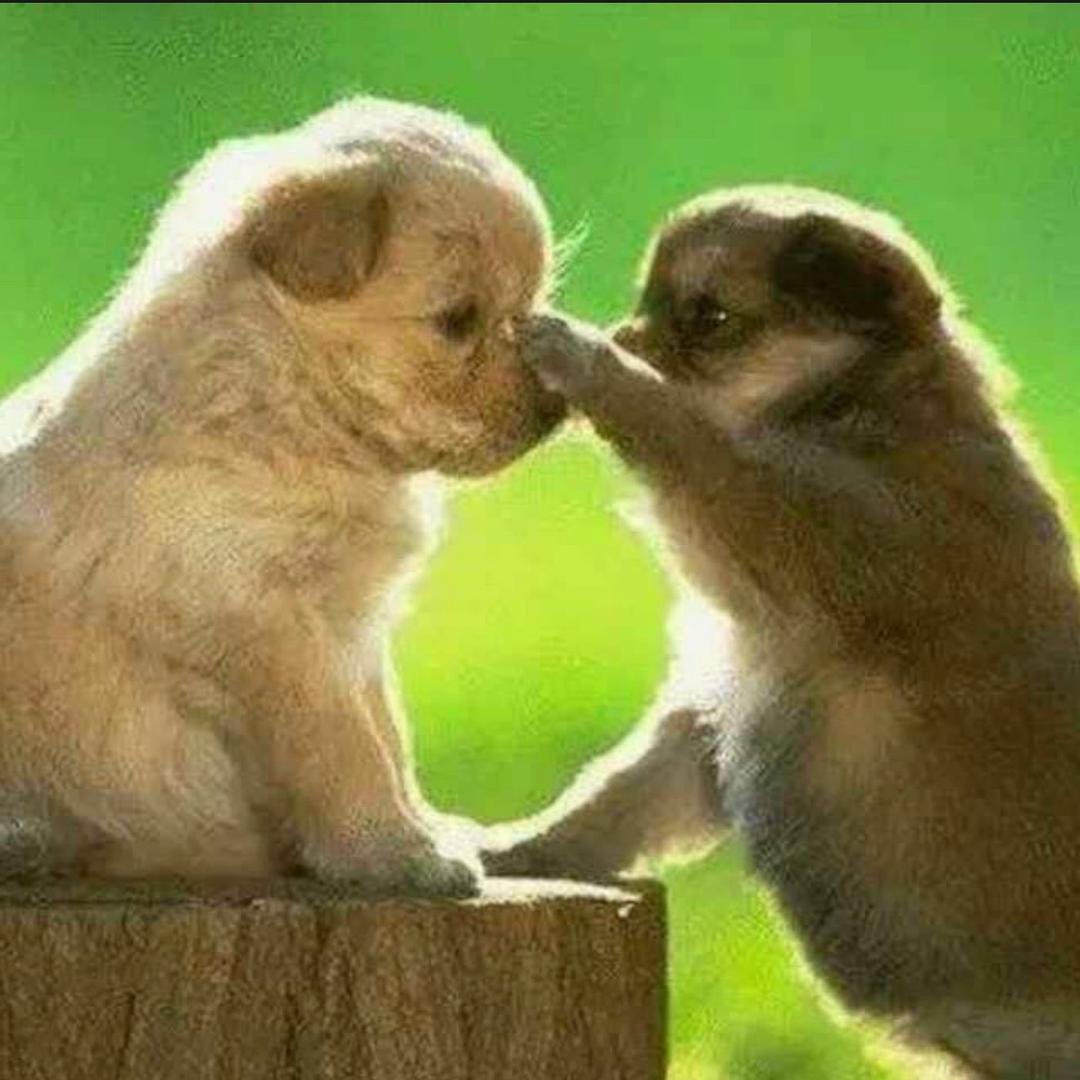 北港华侨幼儿园