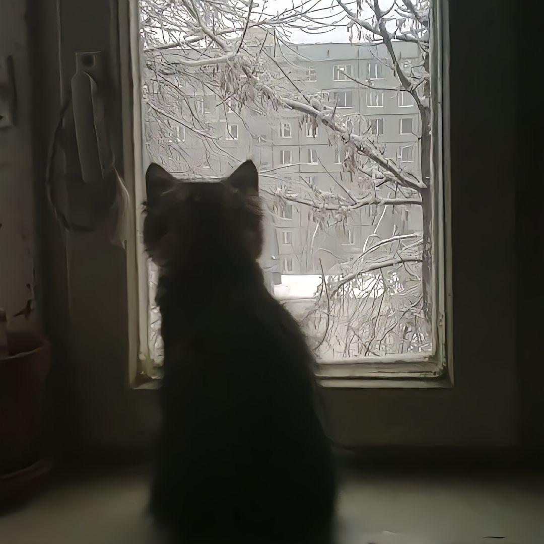 悠哉