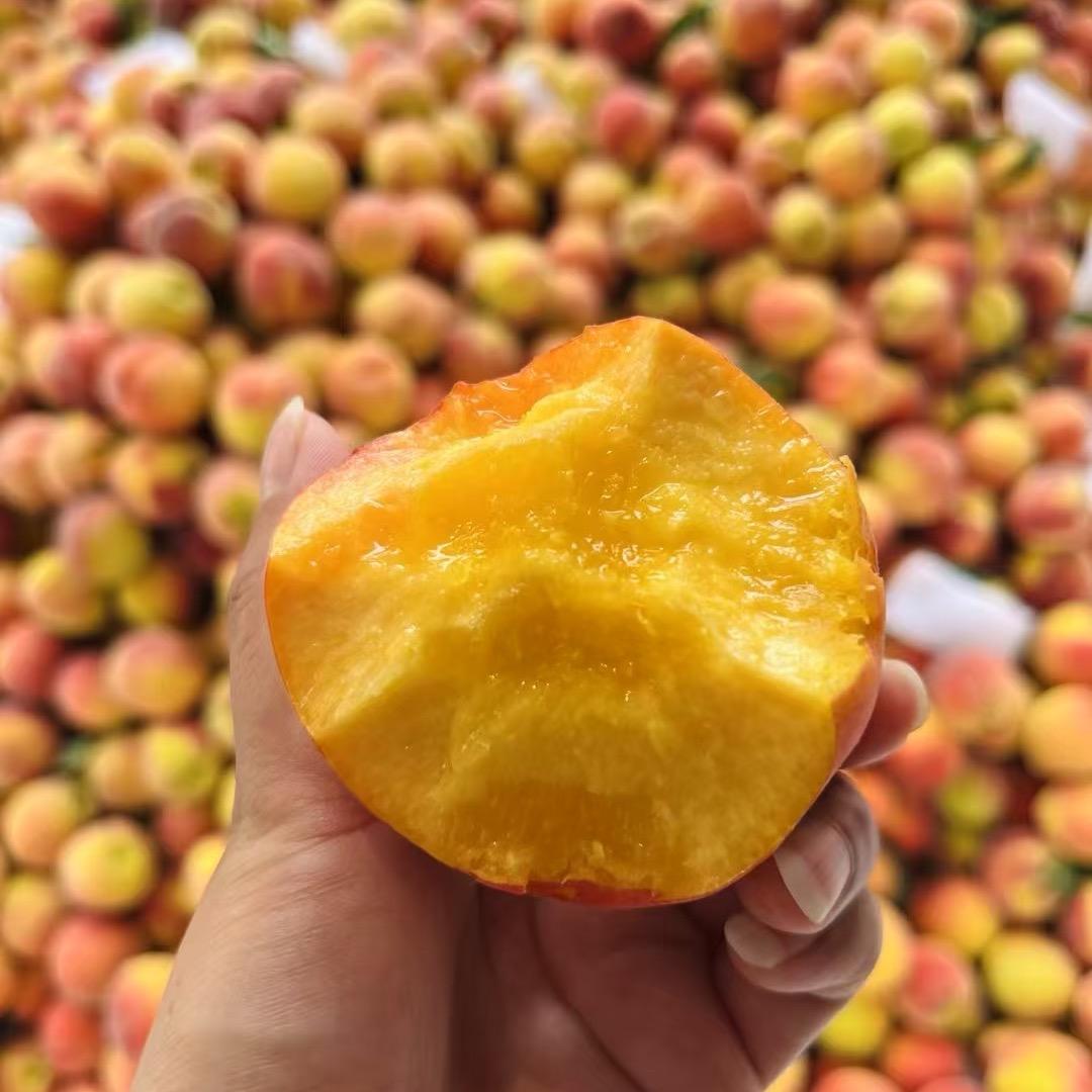 珍珠枣油桃（产地直发）