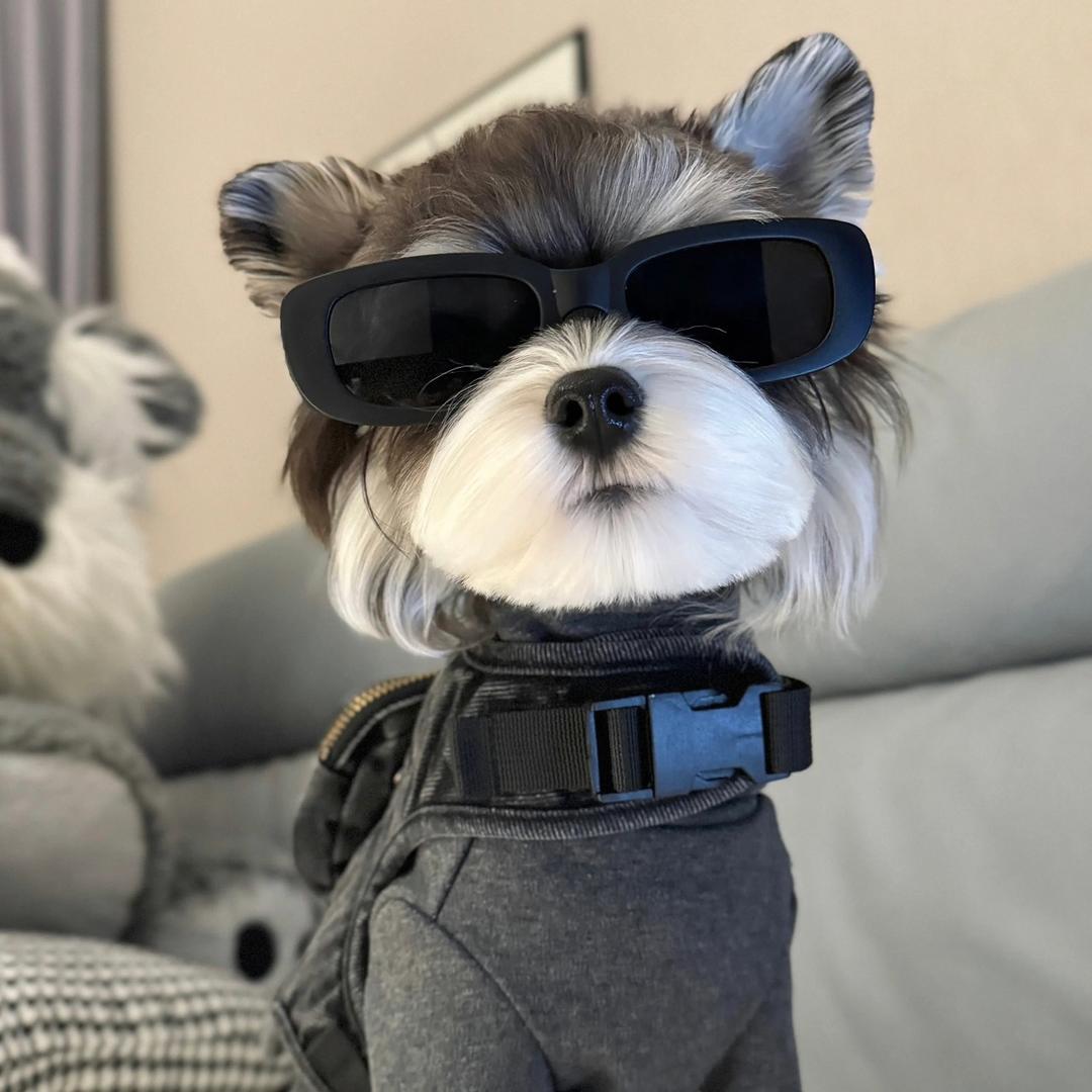 爱喝点小啤啤🍺