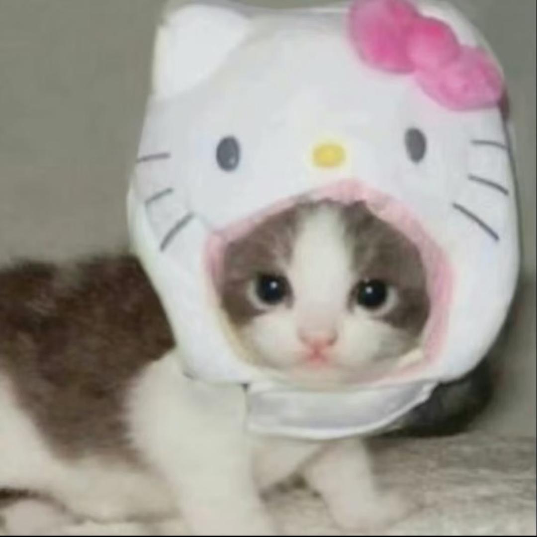 Purinddddddd