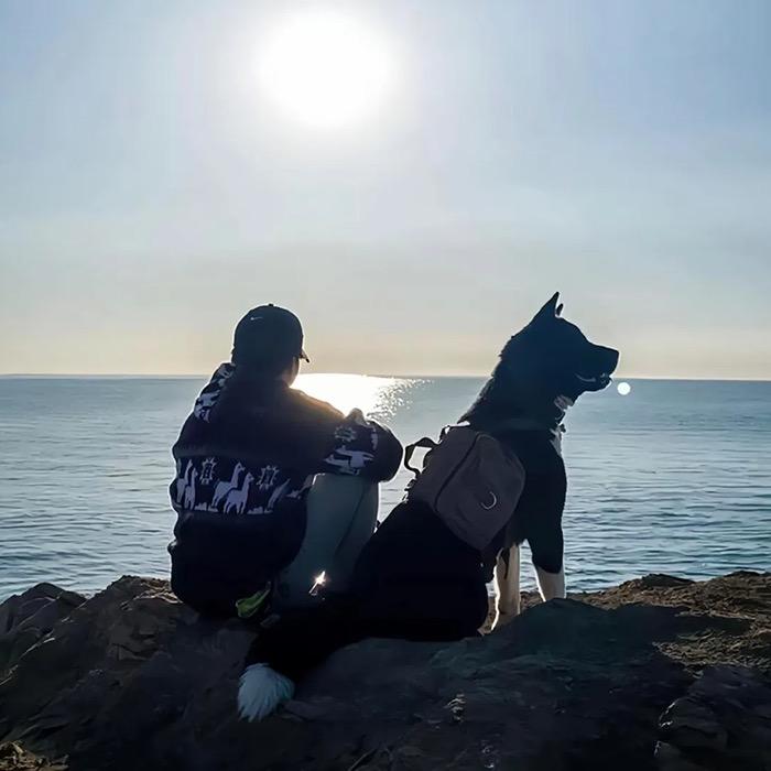 启航生鲜