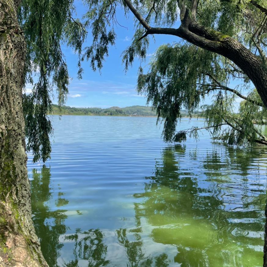 门泊东吴万里🚢