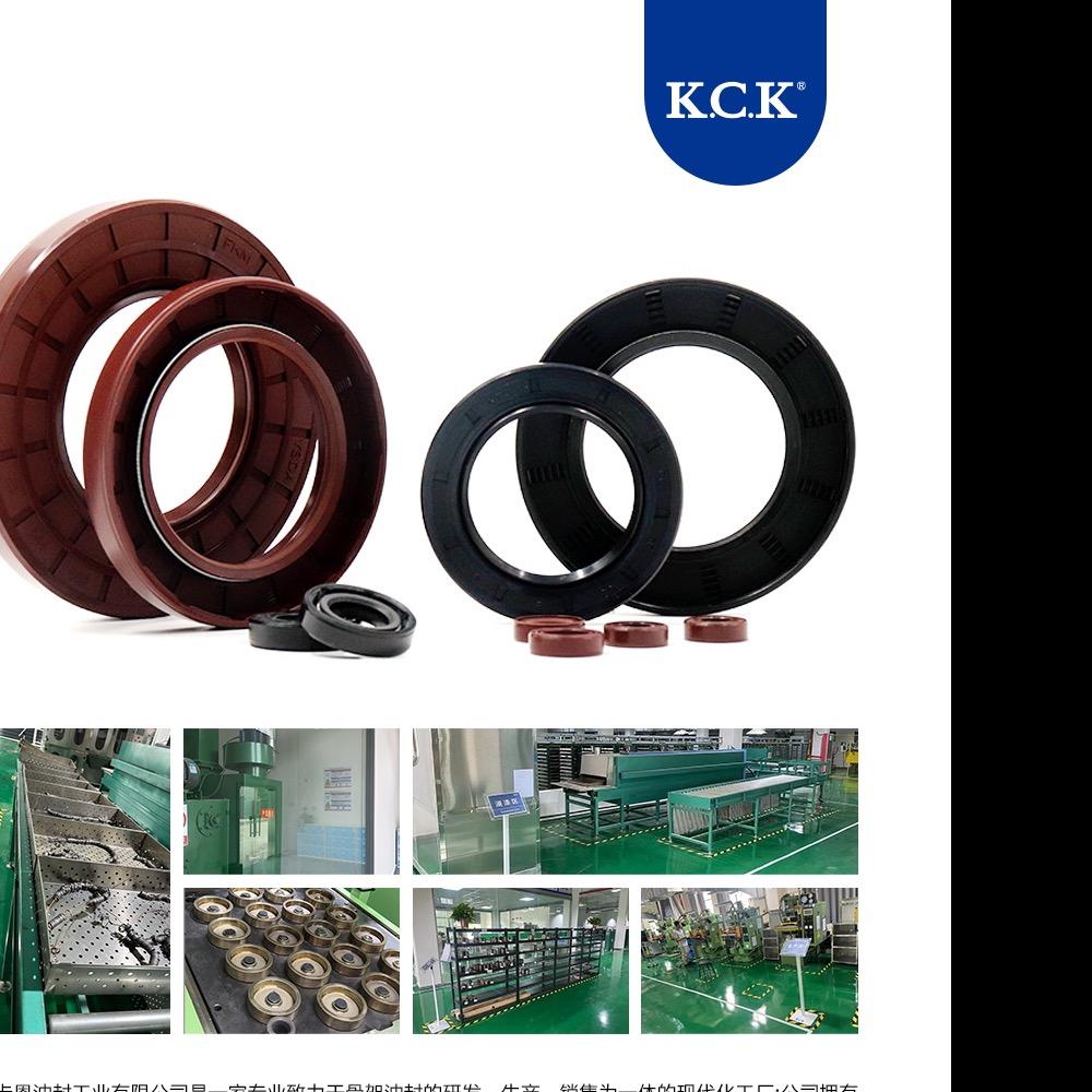 KCK卡恩油封 —王星星