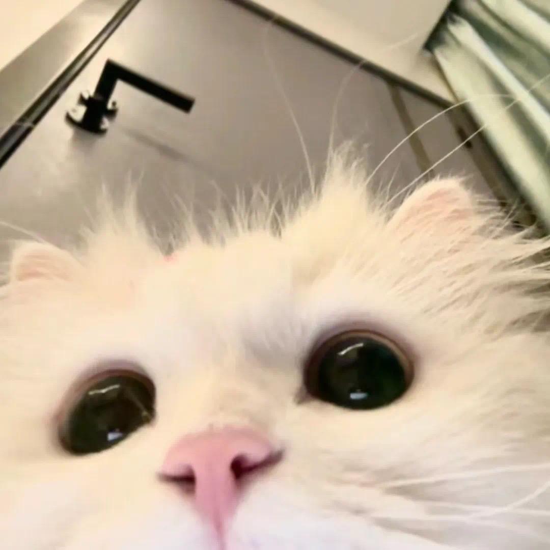 𝐌𝐈𝐍