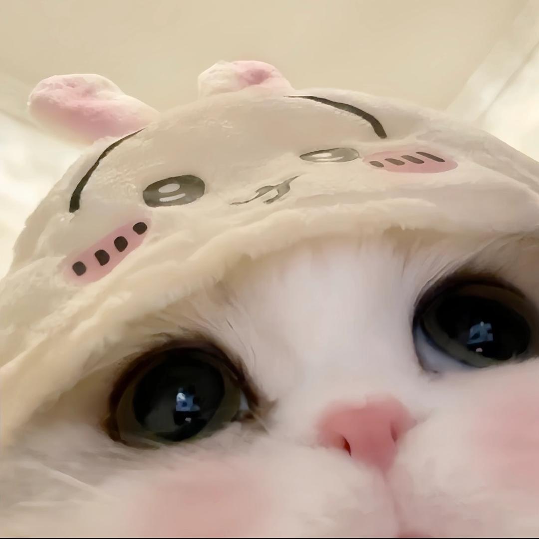 多⁷`¹点