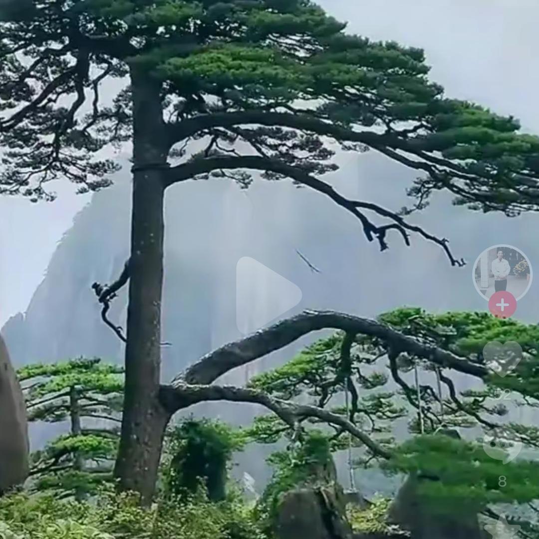 士心十化
