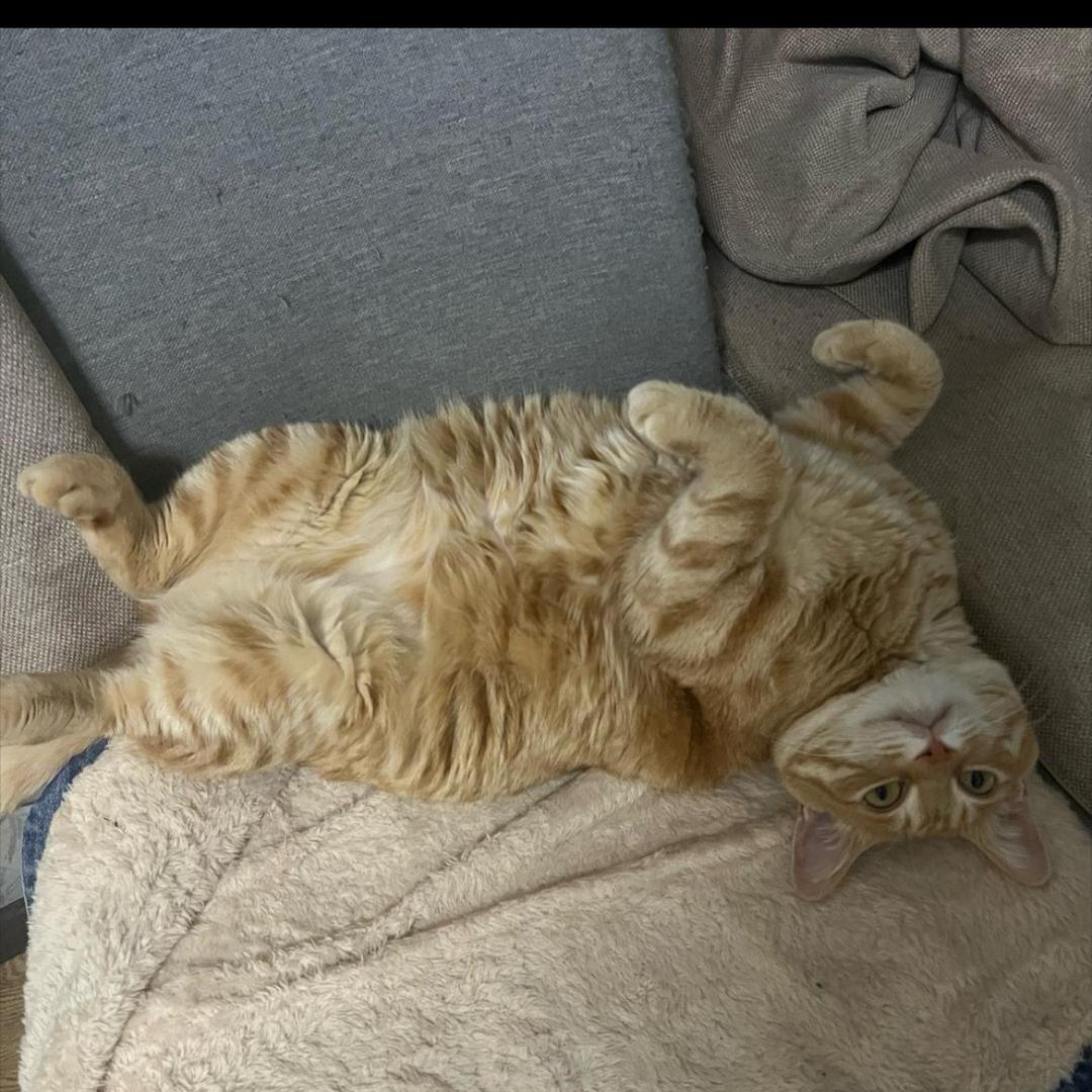 mika