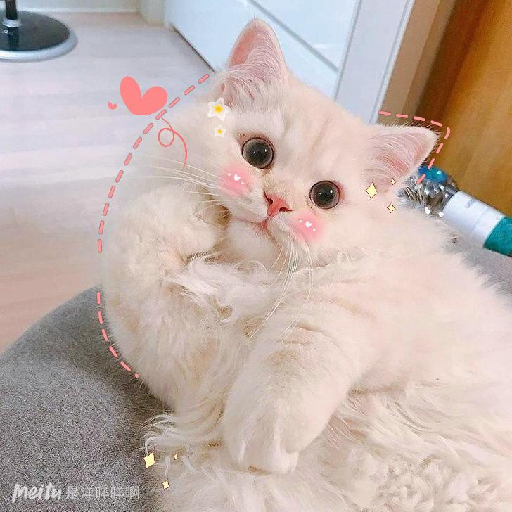 💋稀里糊涂🌸🌸