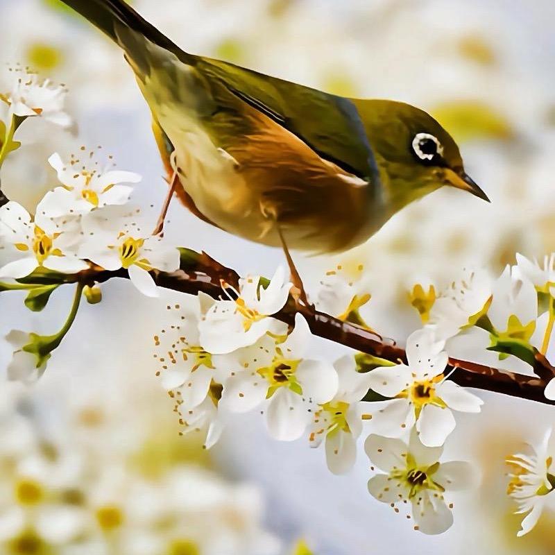 📍 𝐘𝐞𝐞𝐞𝐞 ✌︎ ʺ̤