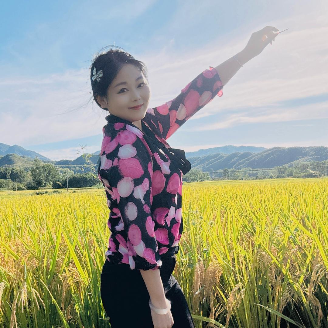 朵朵
