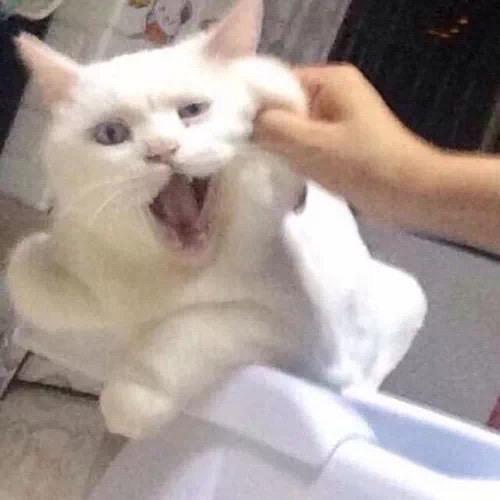 十三行龙宝女装