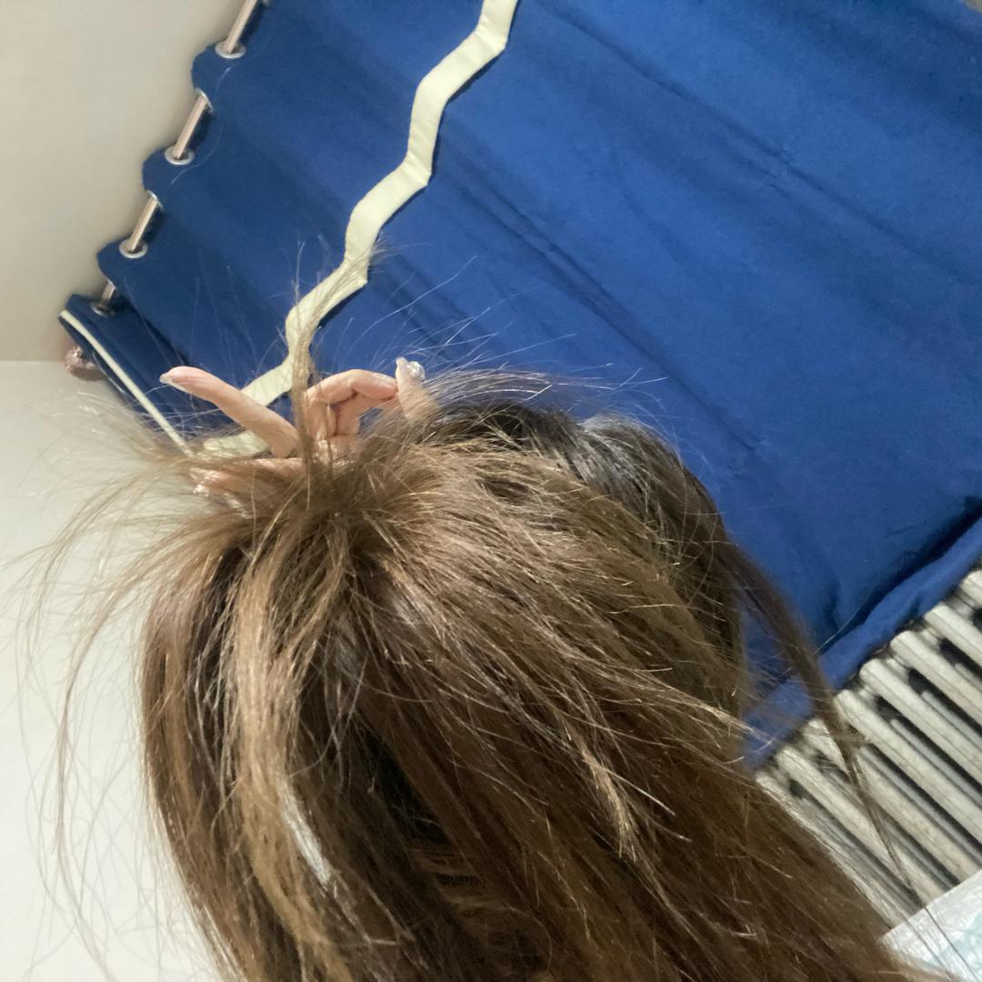 七姨🐍