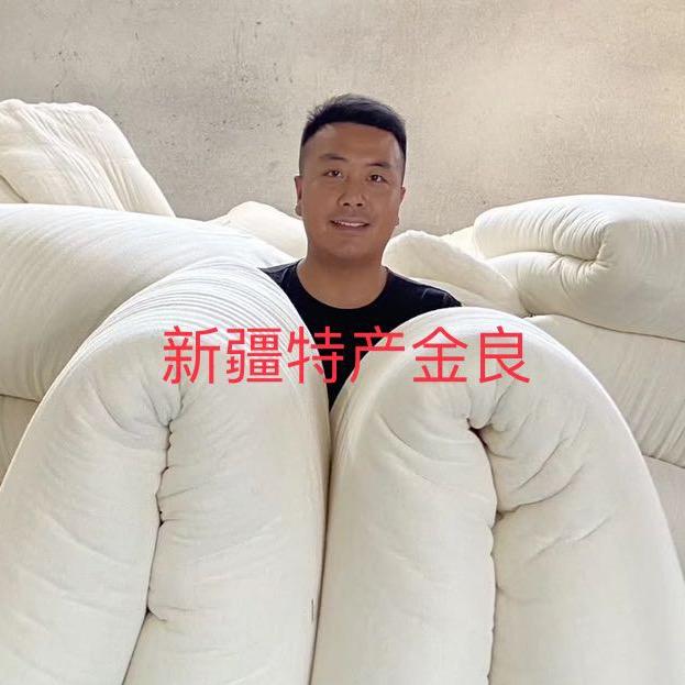 新疆特产金良 棉被