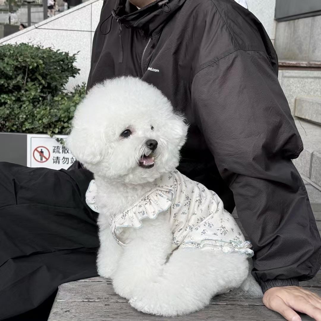 Yuki & Kui