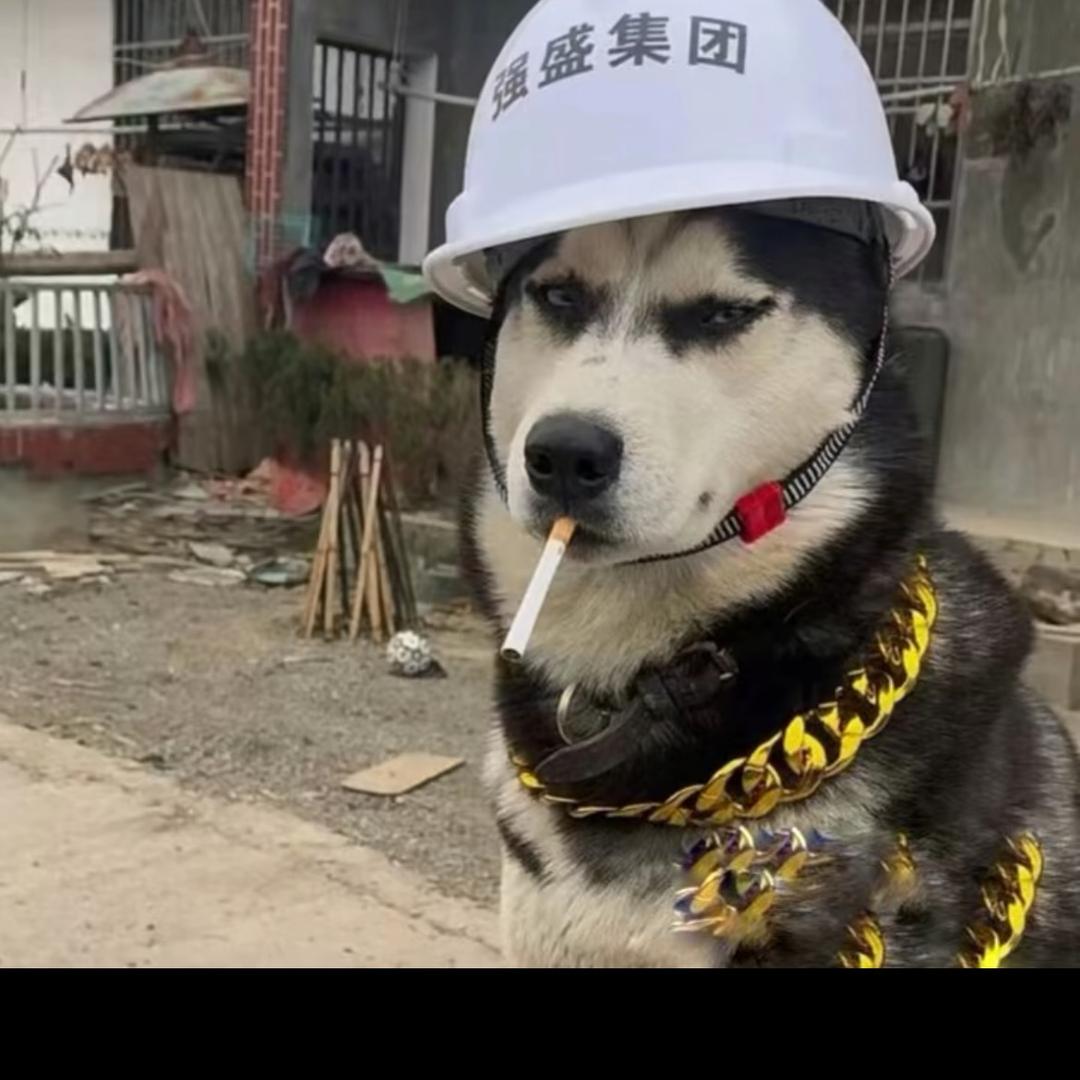 风一样的男人