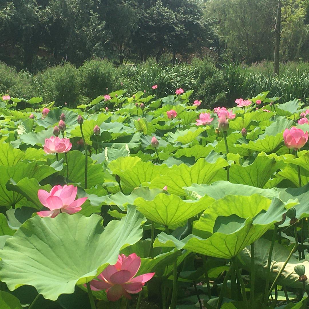 田心～*～一土平