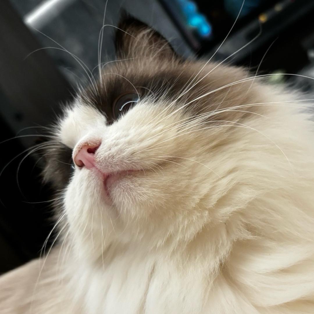 陆亦烟🪽