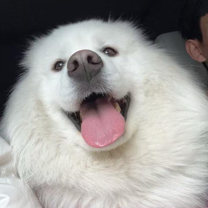 松鼠