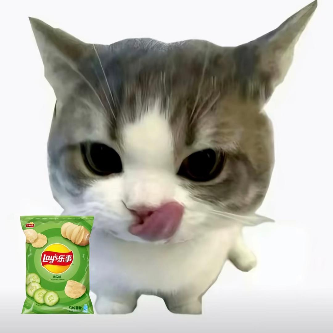 ￴ ￴ㅤㅤㅤㅤㅤZ