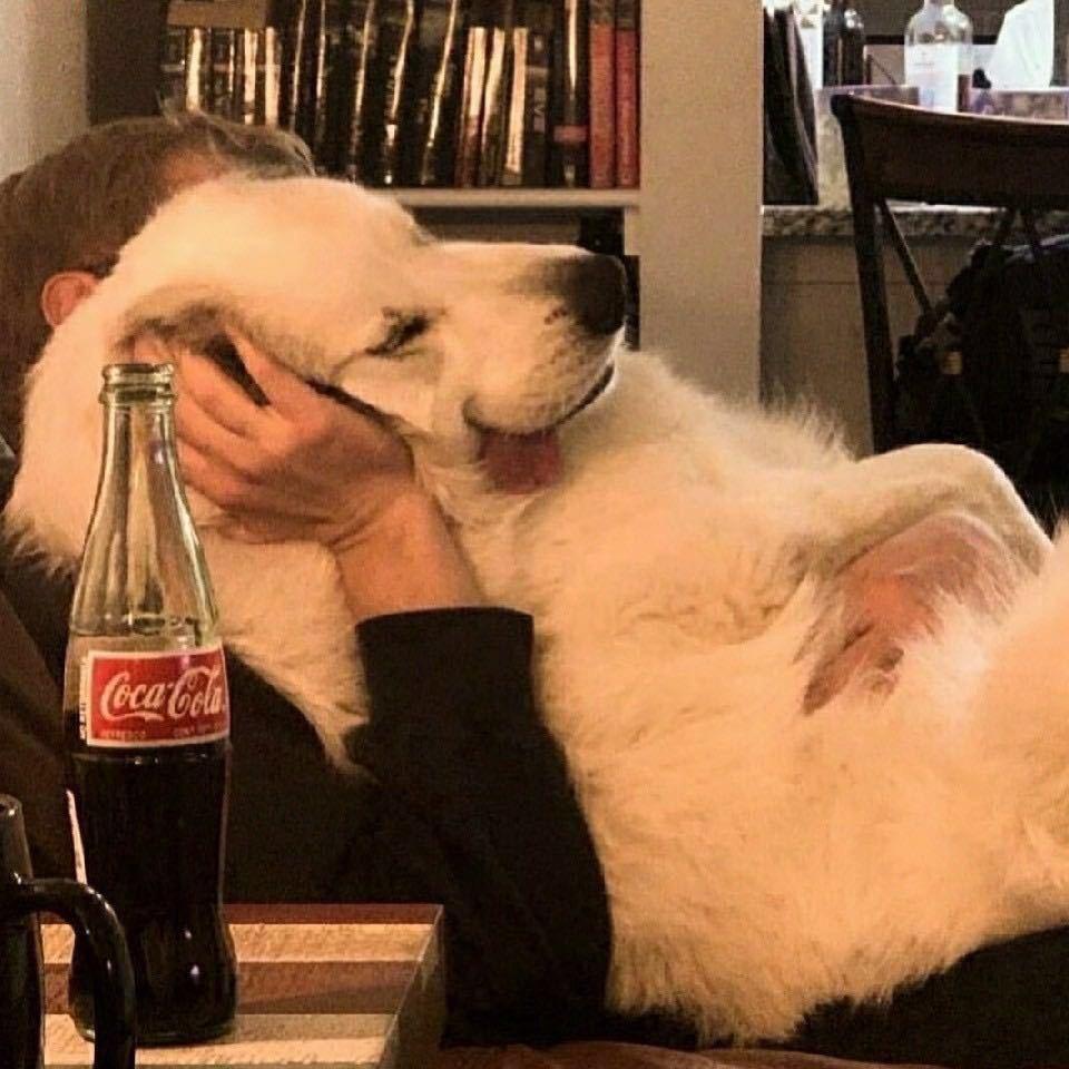 You