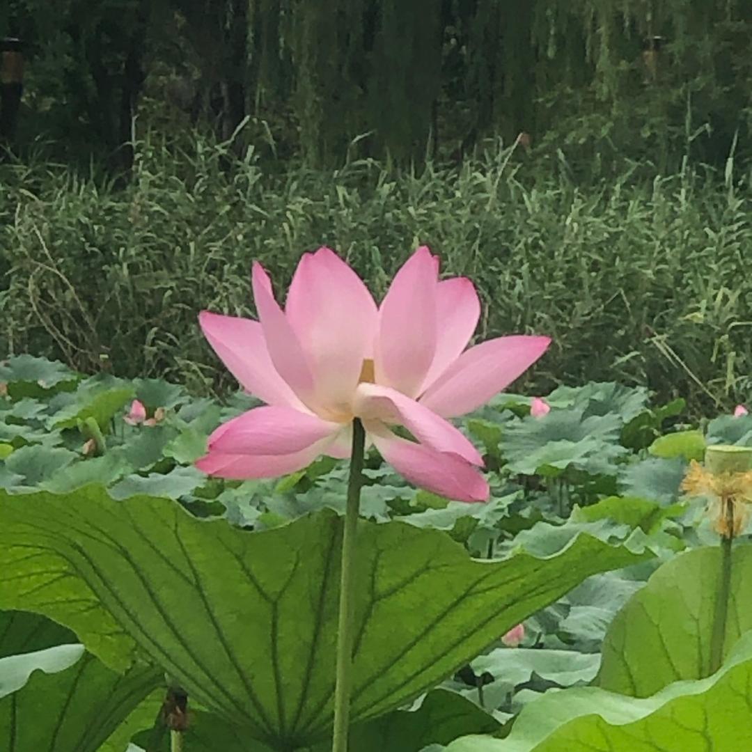 是静静呀