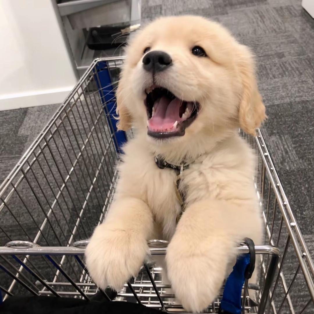 那就叫太阳好啦