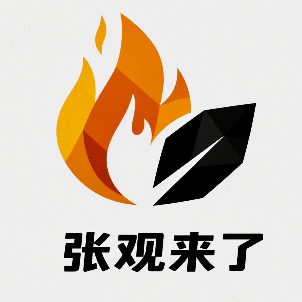 张观来了
