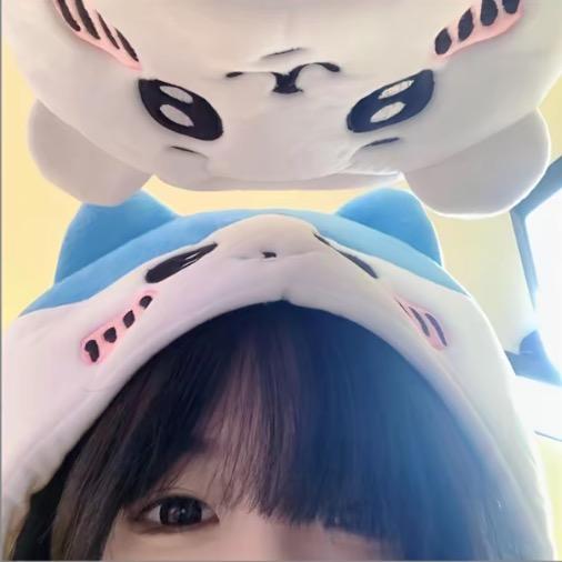 鸢容之🐧