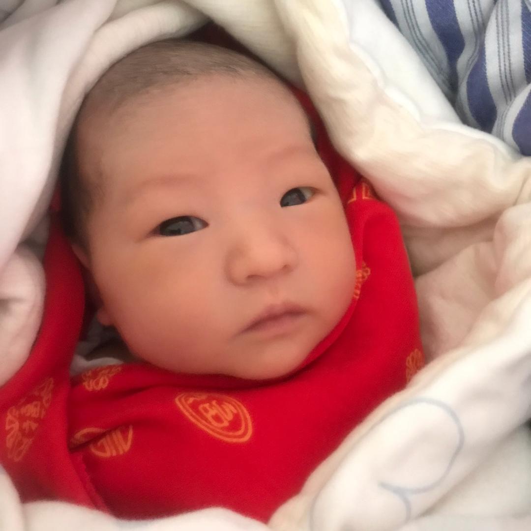 （月光下）（李）🐭🌹