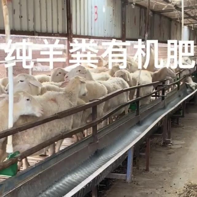 徐州百福纯羊粪有机肥