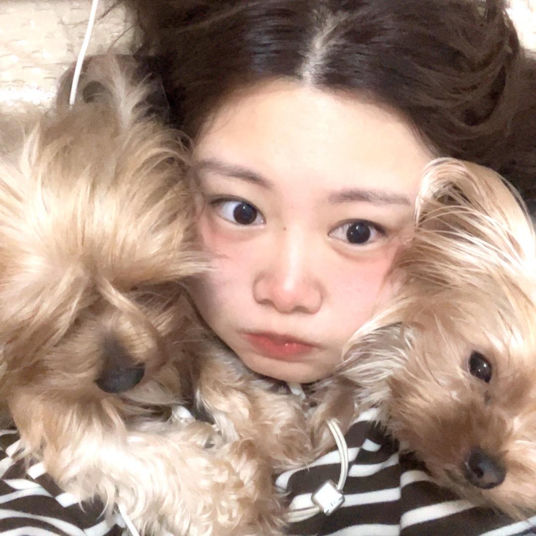 兔兔爱吃兔
