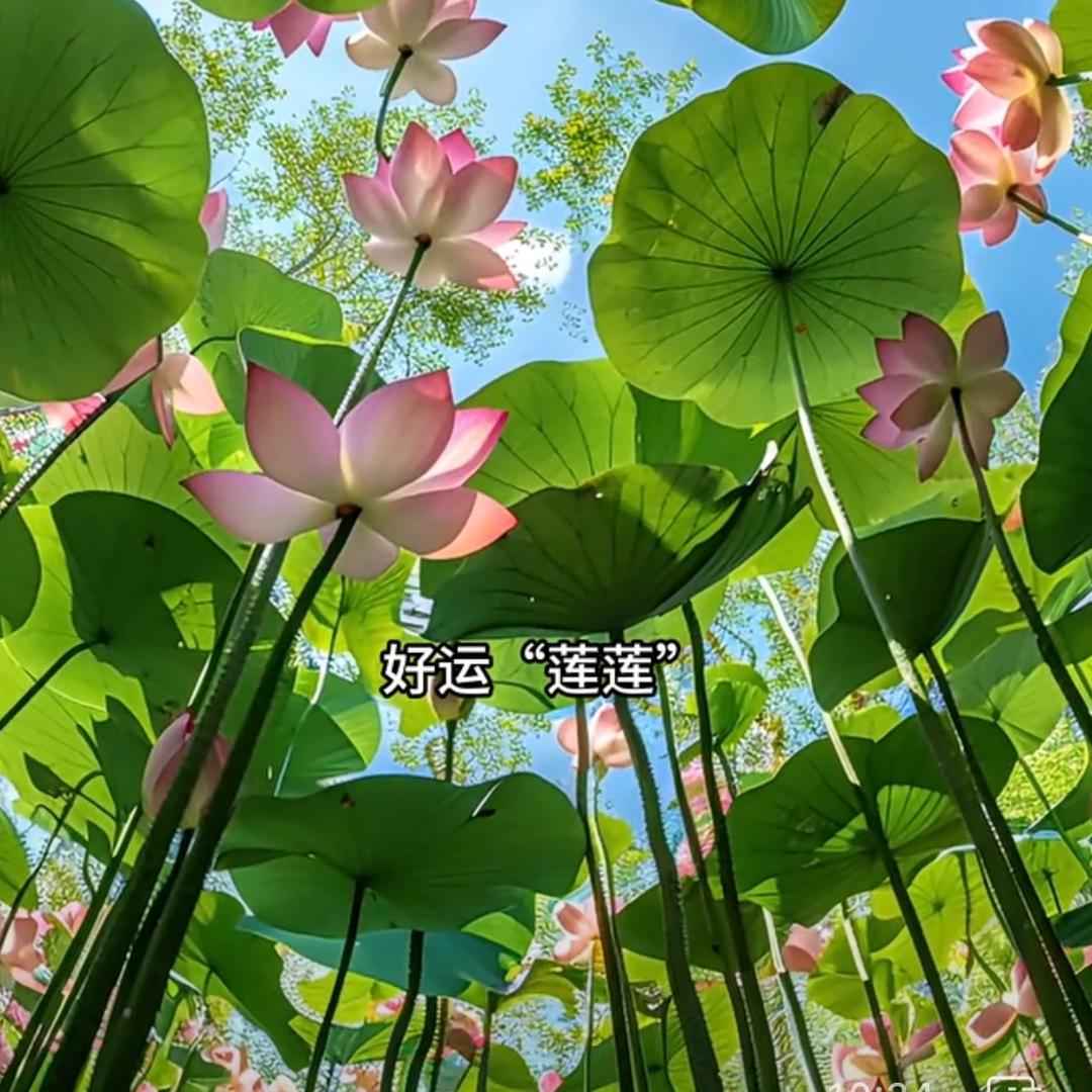 活在未来🐎💎立足當下🐶🌾