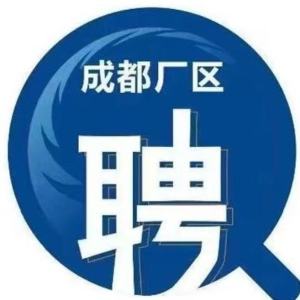 成都电子厂咨询