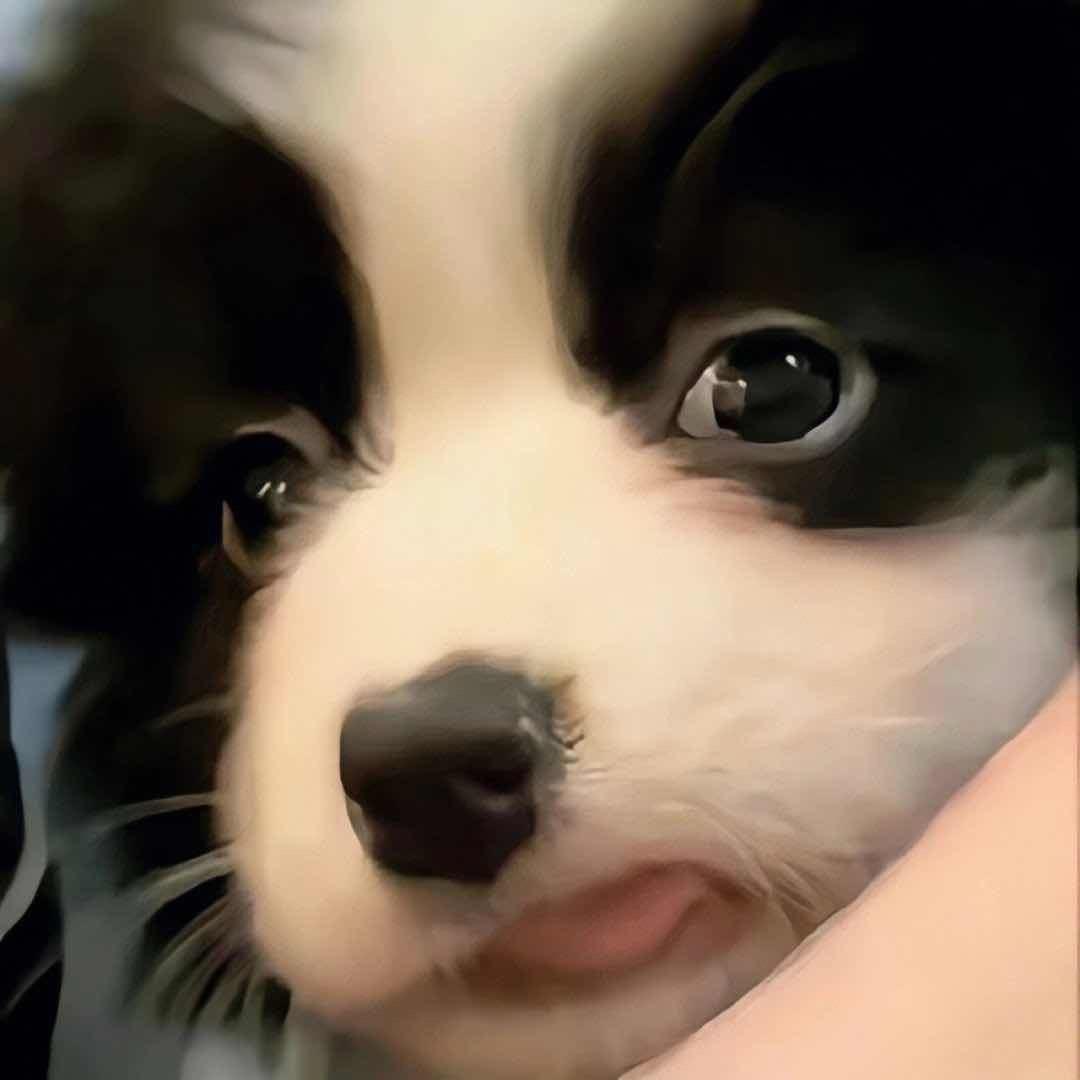 忧太