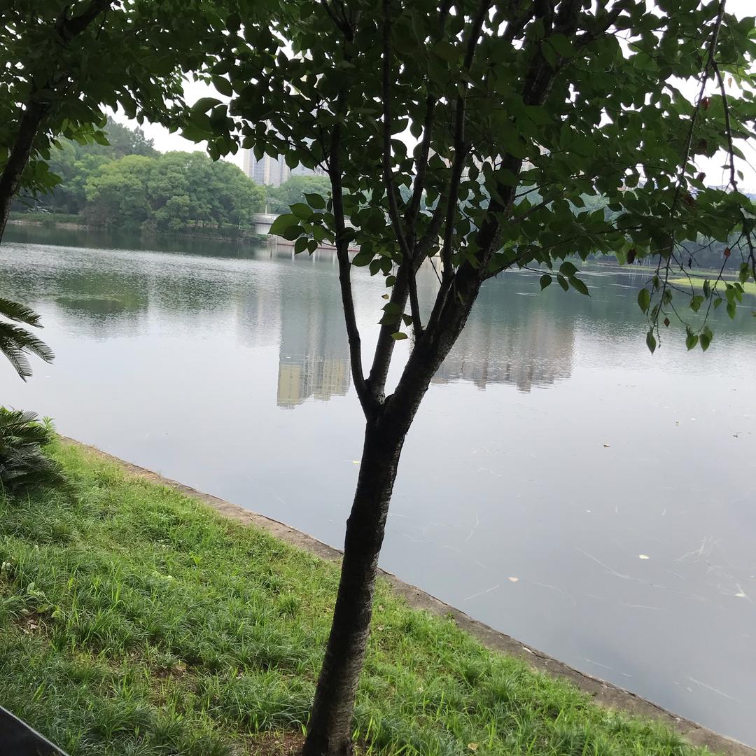 扬眉吐气